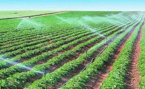欧美日美女黄频农田高 效节水灌溉